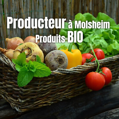 producteur-bio-muller
