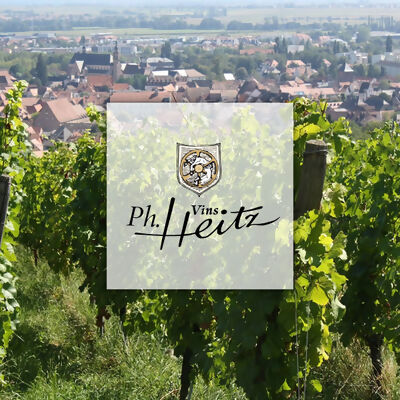 vins-philippe-heitz