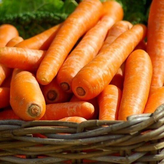 carottes