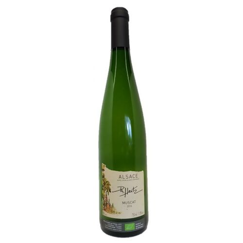 Muscat 2016 - AOC Alsace