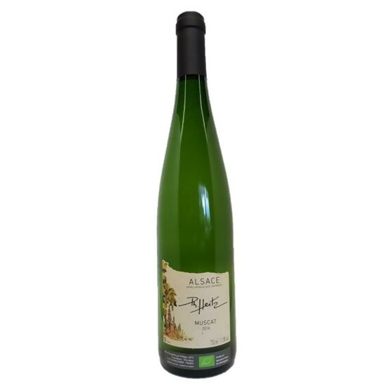 Muscat 2016 - AOC Alsace