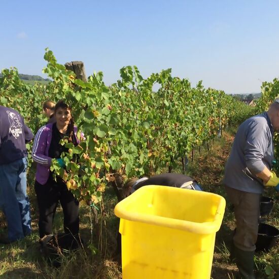 Super Schnaps fait maison3